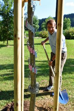župan dr. Tomaž Rožen je zasadil spominsko lipo